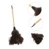 Healeved 2pcs Handle Ostrich Duster Cleaning Tool Soft Household Brush for Home Office Car Comfortable Touch Easy to Clean view 2