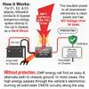Killswitch EMP Shield for Vehicles (12V DC) Military-Grade Lightning, CME & Solar Flare Protection Easy 2-Wire Install for Cars, Trucks, Boats & Motorcycles Made in USA (Tested & Certified) view 2