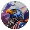 Custom Aluminum 5 Hole Twin Cam Derby Clutch Cover for Harley Davidson - Sunrise Eagle (Matte, 1999-2018 Softail Models) view 1