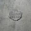 Decal Stickers of Nana Bear (Metallic Silver) (Set of 2) Premium Waterproof Vinyl Decal Stickers for Laptop Smartphone Car Dirt Bike Wall Room Mason Jar Bathtub Door Skateboard - ANDVER1f11493SI view 2