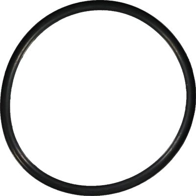 Engine Coolant Thermostat Housing Seal Compatible With Volkswagen EuroVan 2.8L V6 1997 1998 1999 2000 2001 2002 2003 PC-646344