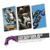Sosoport 5pcs Wig Decor for Helmets Pet Material Easy to Apply Stylish Outdoor Riding Accessory Design view 4
