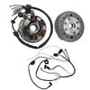 Fuerduo Magneto Stator Rotor and Complete Wiring Harness Kit for 50cc 140cc 150cc Pit Dirt Bike ATV Scooter view 1