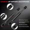 Rear Hatch Lift Supports & Liftgate Struts & Tailgate Shocks & Trunk Gas Springs 6425 SG401031 Compatible with 2003 2004 2005 2006 2007 2008 2009 2010 for Volkswagen Type 1 view 4