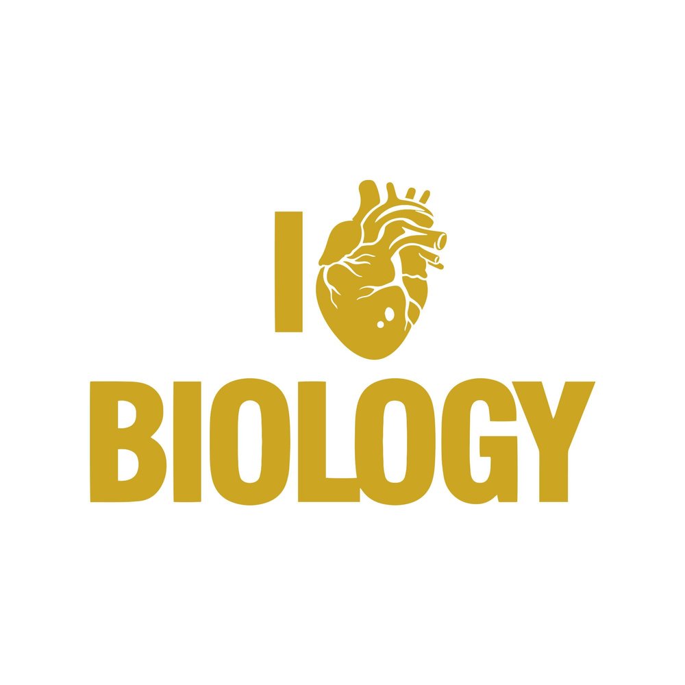 I Love Biology Science Anatomical Heart Realistic Vinyl Sticker Car Decal (6" Yellow)