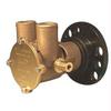 Engine Cooling Water Pump view 1