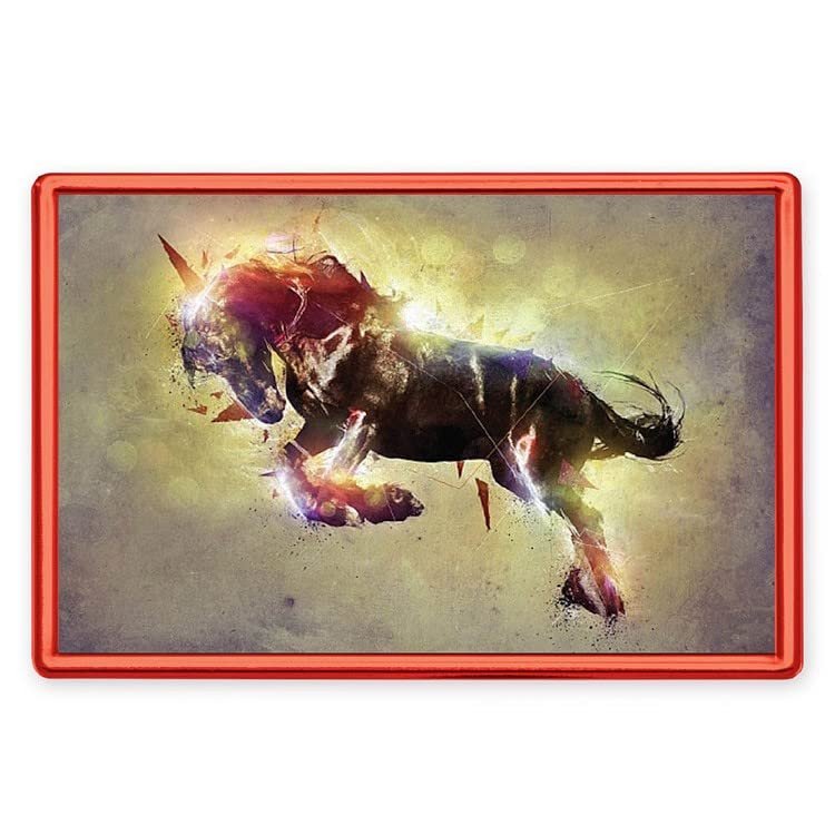 2 x 3 ft. Dash Plate Holder, Red