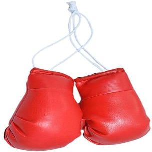 Mini Boxing Gloves Hang Mini Boxing Gloves for Car Mirror Keychain Ornament Car Decoration Accessories for Men and Women (Red)