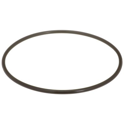 Delphi FA10036 Fuel Pump Tank Seal