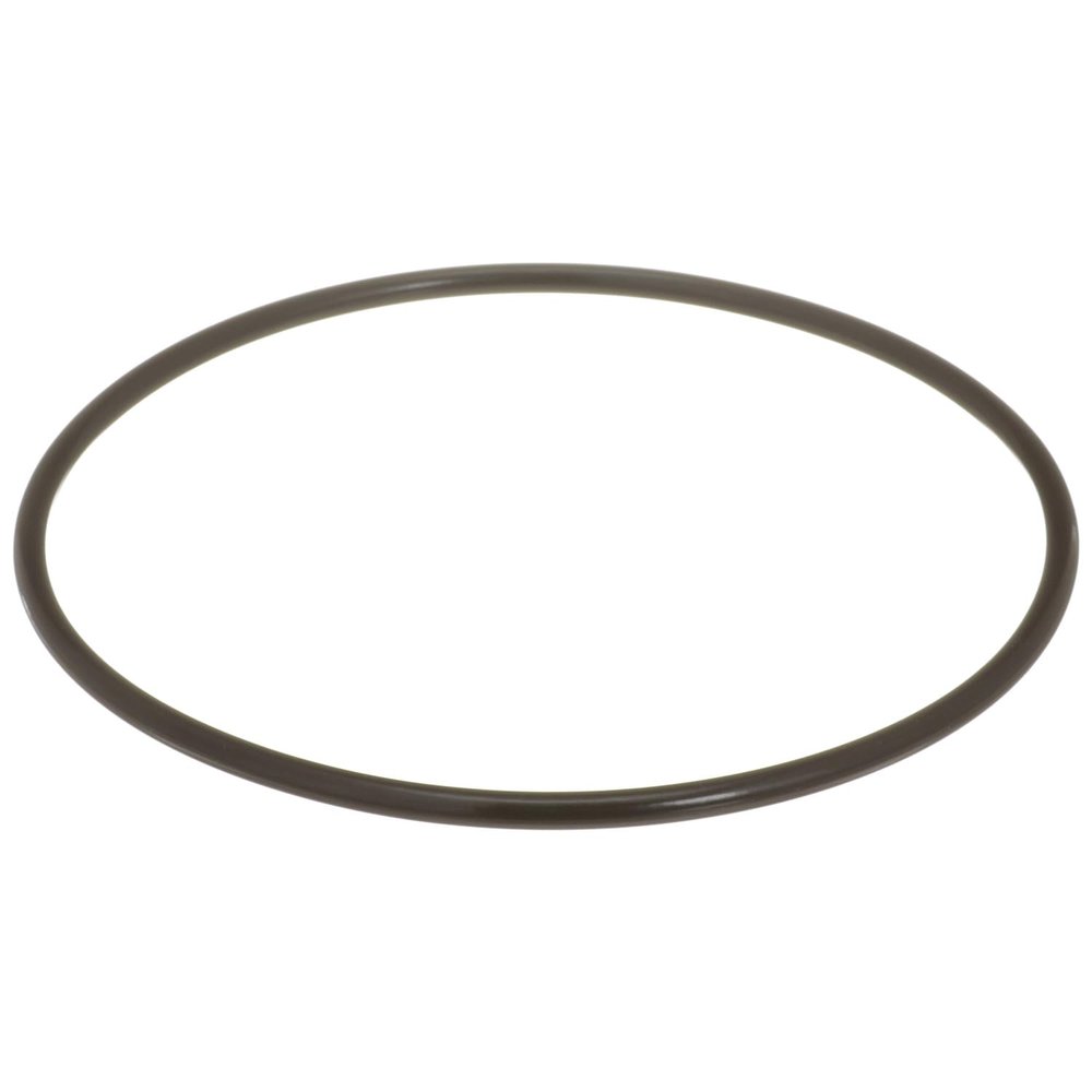 Delphi FA10036 Fuel Pump Tank Seal