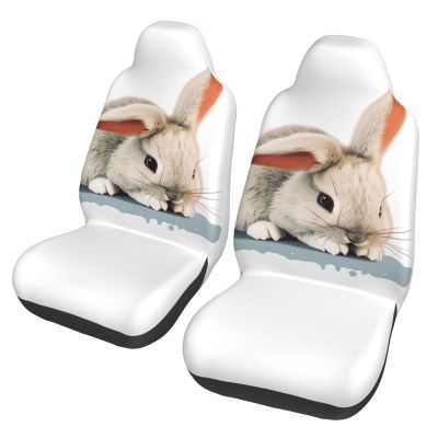GFLFMXZW Cry Rabbit Print Car Seat Covers Set 2 Pack Car Seat Cushion Covers Auto Front Seats Protector Universal Fit Most Truck SUV Auto Accessories Interior Cushion Protector