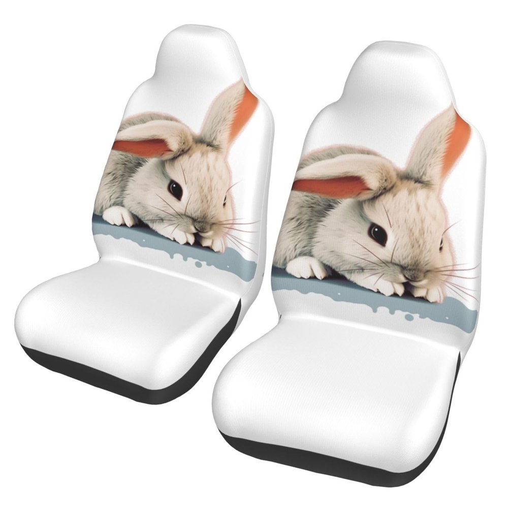 GFLFMXZW Cry Rabbit Print Car Seat Covers Set 2 Pack Car Seat Cushion Covers Auto Front Seats Protector Universal Fit Most Truck SUV Auto Accessories Interior Cushion Protector