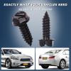 Black License Plate Screws Rust-Proof Finish 8 Pcs | Premium Eco-Friendly Srews for Front & Rear Plates, Lead-Free & Nickel-Free, Anti-Rattle Bolts for Domestic Vehicle view 4