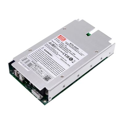 Mean Well NTS 250W Sine Wave DC-AC Inverter NTS-250P-112