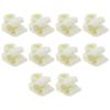 Be In Your Mind 10pcs Automotive Oil Pipe Hose Bracket Fixing Clip and Plastic Fixing Clip 5Q0611797B Compatible with Volkswagen Golf 2 3 4 Polo Compatible with Audi view 1
