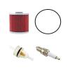 Air Filter Foam Oil Filter Fuel Filter Spark Plug For Kawasaki Bayou 220 KLF220 Bayou 250 KLF250 Bayou 300 KLF300 1988-2004 92055-1433 92070-1019 92070-1199 92055-1433 11013-1275 11013-1158 16099-004 view 4