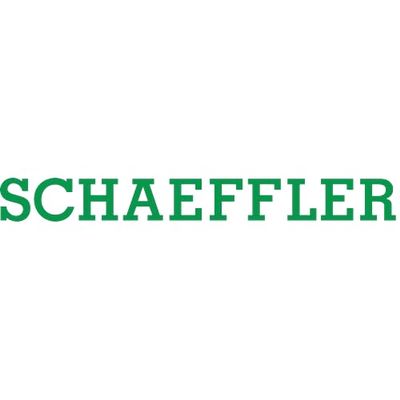 Schaeffler Group Seal - SS5449