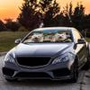 Dog Vehicle Windshield Sunshade for Car SUV and Minivans, Flat-Coated Retriever Dog in The Flower Decoration, UV Ray Reflector Sun Protector Sun Shade Visor, Keep Vehicle Cool, 55" x 30" view 2