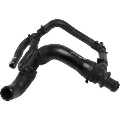 Rein - Water Hose