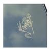Seal Bone Frog Vinyl Sticker Decal by KLO Graphics Veteran Military Service Devgru Bad MF view 1