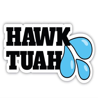 Hawk Tuah Vinyl Decal for Car Truck Boat Laptop Tablet Sticker - Small 5.5" x 2.75"