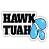 Hawk Tuah Vinyl Decal for Car Truck Boat Laptop Tablet Sticker - Small 5.5" x 2.75" view 1