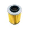 Glintique For CF 800cc CF800 Oil Filter for CF MOTO CF800cc Engine Parts ATV UTV QUAD GO KART(2PC), Glintique-001 view 2