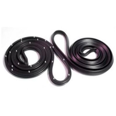 Replacement Molded Rubber Door Weatherstrip sFor Cosworth Vega Astre Hatchback Mechanics Choice for Chevrolet