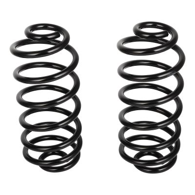ROADFAR 2Pcs Rear Suspension Coils Fit 2004-2012 for Chevy for Malibu