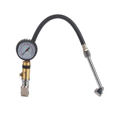 1/4 Trunk Motorcycle Tire Pressure Dial Air Compressor Inflator Pump with 10-220psi Capacity for Bike, Motorcycle, Automobile