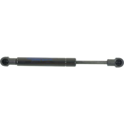 Ren Tsui Parking Brake Strut for Audi for Q7 2007-2010,for Porsche for Cayenne 2003-2006 2008-2010,for VW for Touareg 2004-2010 12935458 RXC2734
