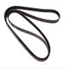 Mechanics Choice Accessory Drive Serpentine Belt for 1981-1983, 2002-2006, 2009-2015 Jeep, Mazda, Nissan, Porsche 911, Altima, DJ5, MX-5 Miata, Sentra (4.2L V6) view 1