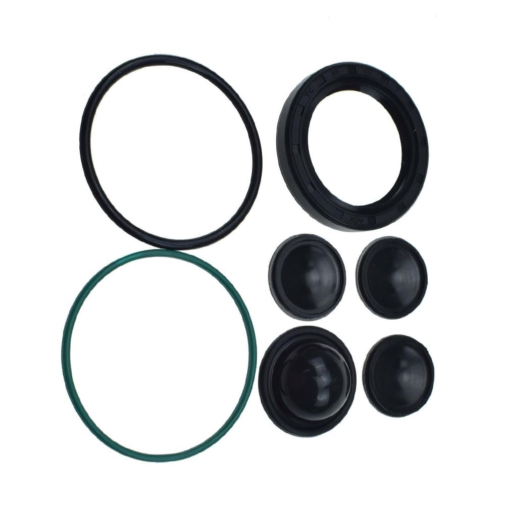 Riloer High Pressure Fuel Pump Repair Kit, Compatible with Vauxhall Compatible with Opel Vectra C, Compatible with Citroen C5 I, and Compatible with Peugeot 406, 24465785/815049