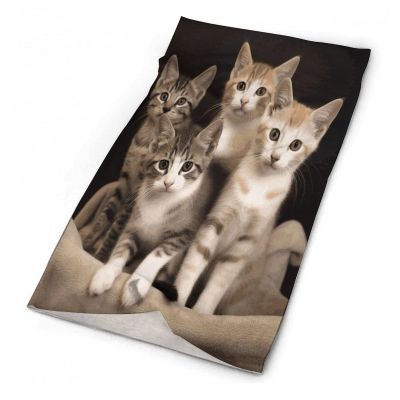 QWNMD Neck Gaiter Kittens Family Cats Printed Head Wrap Headwear Bandanas Face Scarf Mask Neck Warmer Balaclava Suitable for Both Men And Women