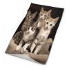 QWNMD Neck Gaiter Kittens Family Cats Printed Head Wrap Headwear Bandanas Face Scarf Mask Neck Warmer Balaclava Suitable for Both Men And Women view 1