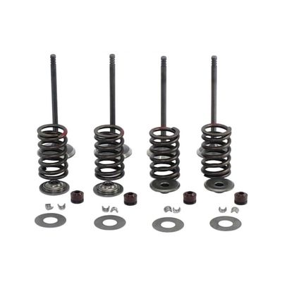 Intake Exhaust Valve Assy 800-6027 for CF motor CForce UForce ZForce 450 520 500 600 800 1000