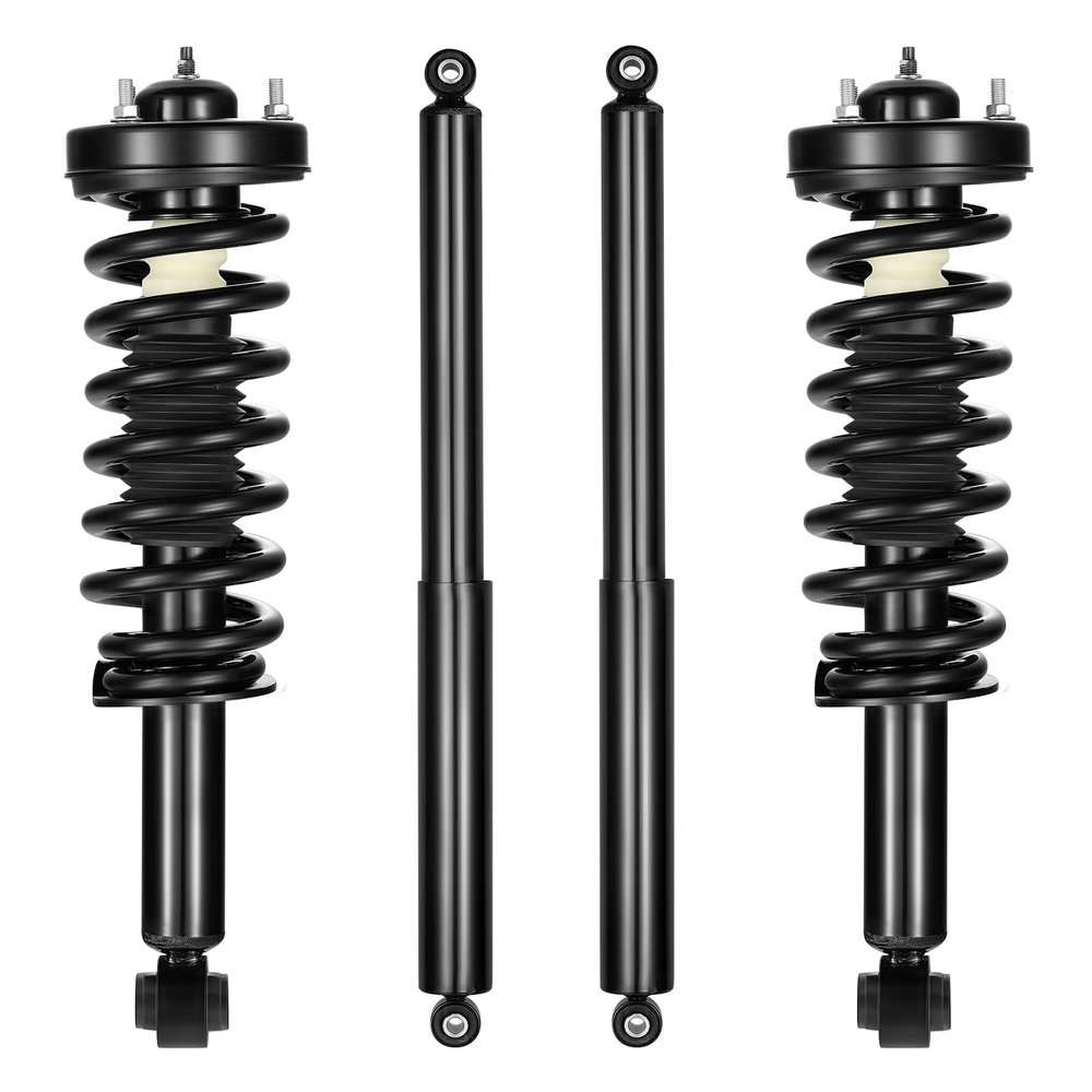 BDFHYK Front Struts Rear Shocks Kit Fit for Ford F-150 2009-2013
