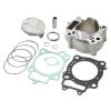 VIPIH 78mm Stock Bore Cylinder Piston Gasket Top End Rebuild Kit Fit For Honda CRF250R 2004-2009 CRF250X 2004-2017 12100-KRN-670 12100-KRN-732 view 1