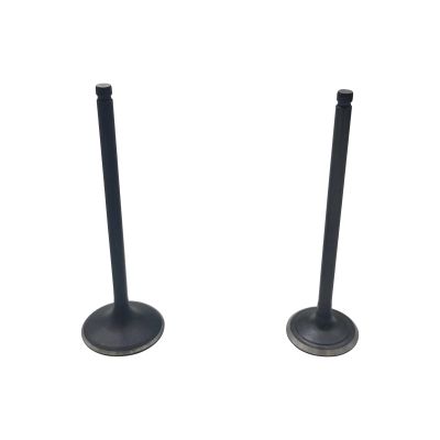 Replacement Parts 2PCS Exhaust Valve or Inlet Valve for Stels Leopard 500 600 650 ATV 100701-102-0000 LU065622 100702-102-0000 LU065623(1 of each)