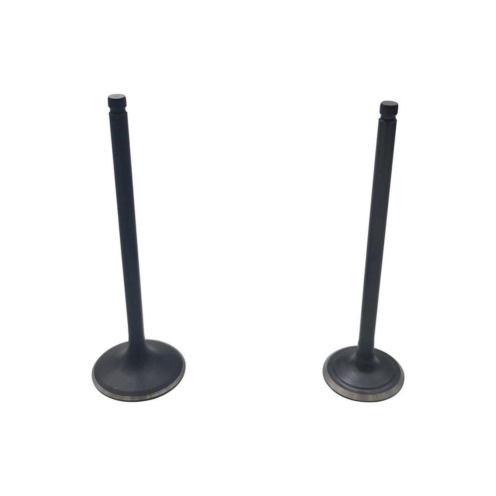 Replacement Parts 2PCS Exhaust Valve or Inlet Valve for Stels Leopard 500 600 650 ATV 100701-102-0000 LU065622 100702-102-0000 LU065623(1 of each)