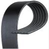 Serpentine Belt for Dodge Durango 2008-2009#4yn3 view 4