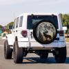 Foruidea Full Moon Wolf Spare Tire Cover with Backup Camera Hole Wheel Tire Cover Fit Trailer, RV, SUV and Many Vehicle 15inch view 2