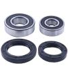 TCINDRR Front Wheel Bearing Kit 25-1083 Compatible with Honda TRX250X TRX250EX Sportrax TRX400X TRX400EX Sportrax TRX450R TRX450ER Electric Start view 1
