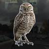 Photo Realistic Owl Decal - Vinyl Sticker for Cars, Laptops, Windows and Water Bottles - 12 Inches Tall view 2
