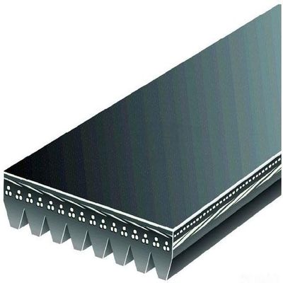 Replacement Multi Rib Belt Compatible with 2001-2004 Freightliner FC70
