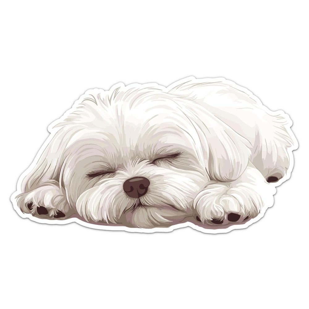 Cute Sleeping Maltese Dog Sticker - Waterproof Vinyl Decal for Car Bumper, Laptop, Luggage, Water Bottle, Phone Cases, Wall, Window, Sticker Size - 8'' Longer Side