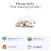 Cute Sleeping Maltese Dog Sticker - Waterproof Vinyl Decal for Car Bumper, Laptop, Luggage, Water Bottle, Phone Cases, Wall, Window, Sticker Size - 8'' Longer Side view 2