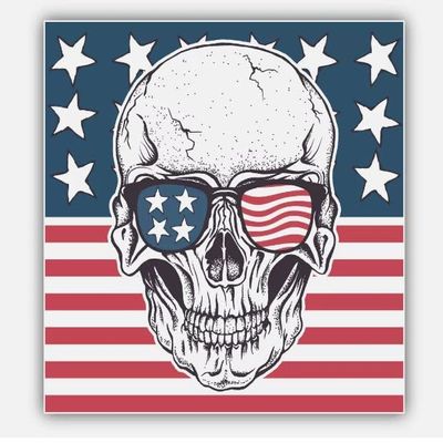 Skull Vinyl Sticker Decal Laptop, Wall, Car, Window, Decal, Truck, Waterproof, Auto, Water Bottle (3")