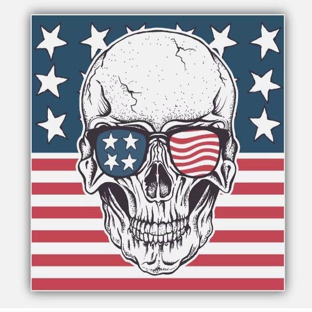 Skull Vinyl Sticker Decal Laptop, Wall, Car, Window, Decal, Truck, Waterproof, Auto, Water Bottle (3")