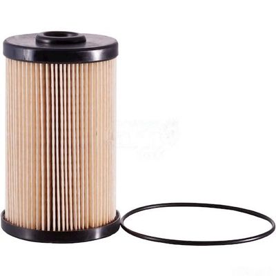Fuel Filter for 2007 Holiday Rambler Vacationer (PG-1156603)